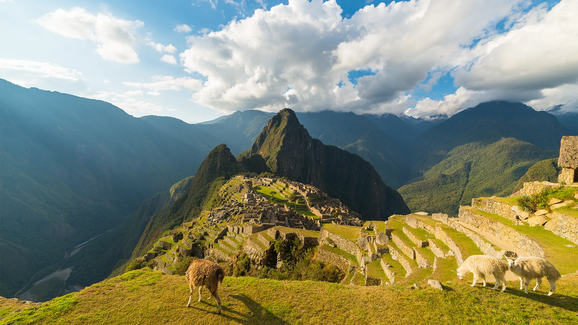 Machu Picchu
